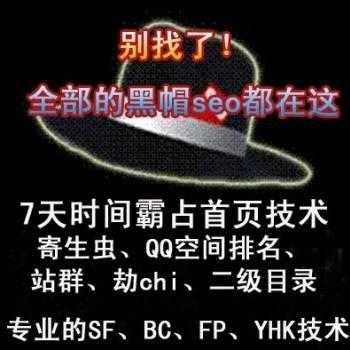 黑帽seo优化实战培训教程视频 seo技术网站课程