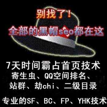 黑帽seo优化培训 网站seo赚钱技术视频教程
