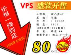 数字中国,VPS主机80元/月,1G内存,双核cpu,50G硬盘 ,50G备份,10M带宽