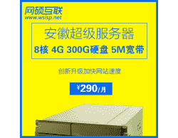 国内八核 4G 300G硬盘 5M带宽超级服务器仅售290元/月，多买多送--网硕互联
