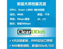 ClearDDoS美国g口服务器1G独享10G防御DDoS8核16G-L5520