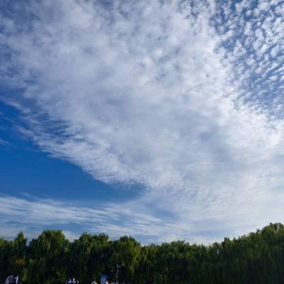 金沙集团186cc成色官方版下载