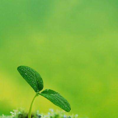 im电竞官方网站手机app下载