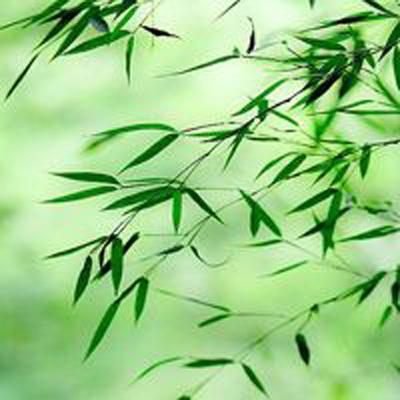 365体育官方唯一入口手机app下载