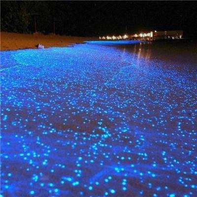 新天地棋牌下载手机版